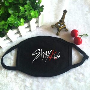 Masque Stray Kids - K-Pop France