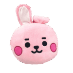 Oreiller BT21 Peluche - K-Pop France