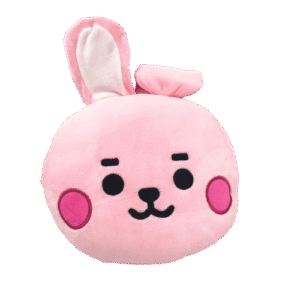 Oreiller BT21 Peluche - K-Pop France