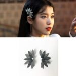 Pince à Cheveux Hotel Del Luna - K-Pop France