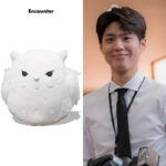 Peluche Hibou Encounter - K-Pop France