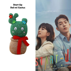 Peluche Cactus Start Up - K-Pop France