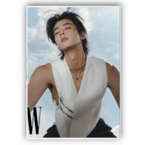 Poster Cha Eun Woo - KPOP A-Astro - K-Pop France