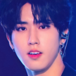 Boucles d'Oreilles KPOP Jisung - Groupe Stray Kids - K-Pop France