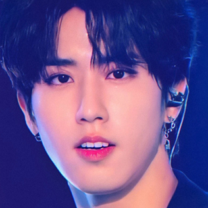 Boucles d'Oreilles KPOP Jisung - Groupe Stray Kids - K-Pop France