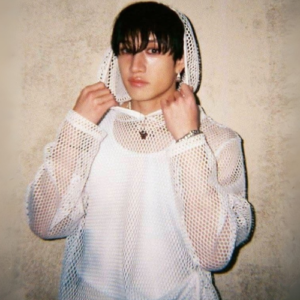 Sweat Filet Capuche Bang Chan - Groupe Stray Kids - K-Pop France