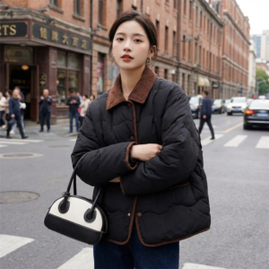 Doudoune Coréenne Boutonnée - K-Pop France